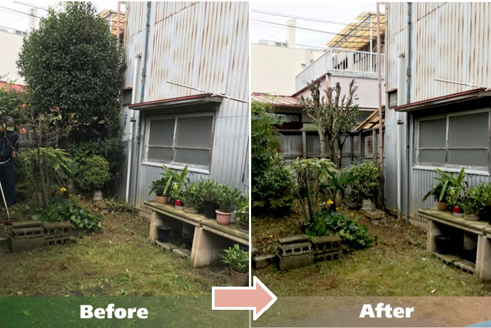 Ecoグリーンでは埼玉県草加市、川口市、さいたま市、および周辺エリアで庭木の剪定作業のご依頼をお受けしております。
