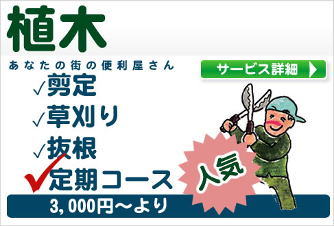 野田市・越谷市の植木・剪定・草刈り・伐根・定期コースは便利屋エコグリーン