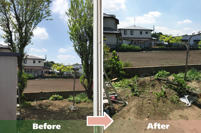越谷市M.Aさん宅 大木の伐採作業